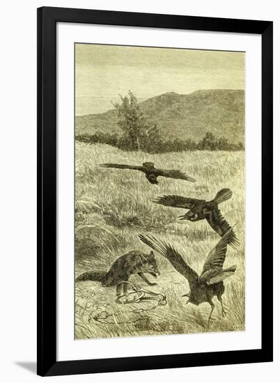 Hunt Fox Austria 1891-null-Framed Giclee Print