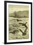 Hunt Fox Austria 1891-null-Framed Giclee Print