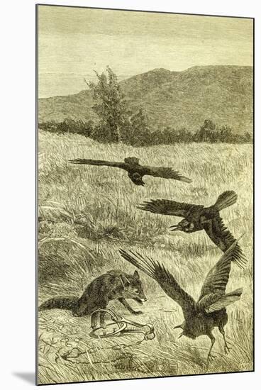 Hunt Fox Austria 1891-null-Mounted Giclee Print