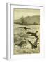 Hunt Fox Austria 1891-null-Framed Giclee Print