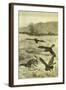 Hunt Fox Austria 1891-null-Framed Giclee Print