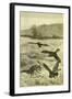 Hunt Fox Austria 1891-null-Framed Giclee Print