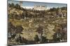 Hunt in Honour of Emperor Charles V at Torgau Castle-Lucas Cranach the Elder-Mounted Giclee Print