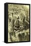 Hunter Gun Austria 1891-null-Framed Stretched Canvas