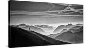 Hunter In The Fog Bw-Vito Guarino-Stretched Canvas