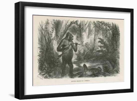 Hunter Killed by Gorilla-null-Framed Premium Giclee Print