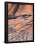 Essential Black