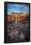Essential Black
