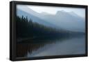 Essential Black