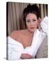 Hunter Tylo-null-Stretched Canvas