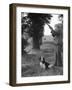 Hunter with Gun and Dog-null-Framed Photographic Print