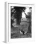 Hunter with Gun and Dog-null-Framed Photographic Print