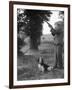 Hunter with Gun and Dog-null-Framed Photographic Print