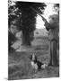 Hunter with Gun and Dog-null-Mounted Photographic Print