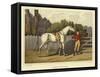 Hunter-Henry Thomas Alken-Framed Stretched Canvas