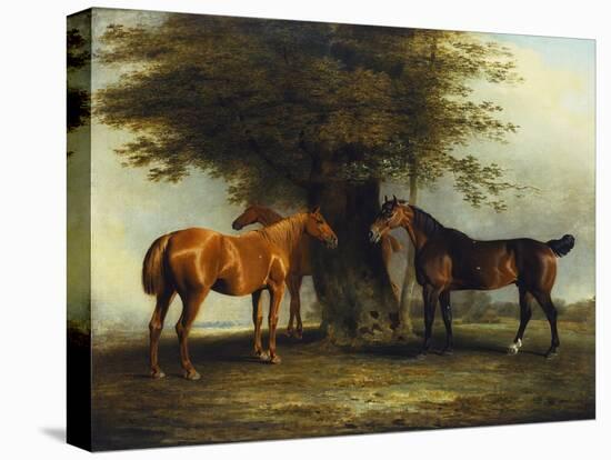 Hunters at Grass, 1801-Benjamin Marshall-Stretched Canvas