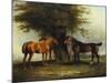 Hunters at Grass, 1801-Benjamin Marshall-Mounted Giclee Print