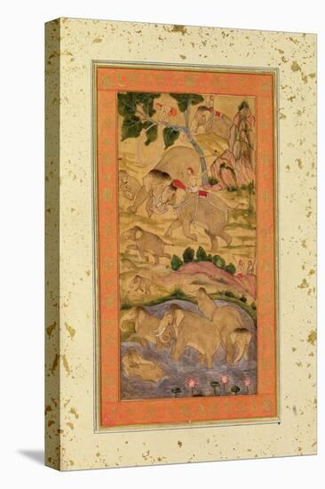 Hunters Capturing Elephants, from the Large Clive Album, C.1760-65 (Tinted Drawing on Paper)-Mughal-Stretched Canvas