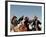 Hunters from Sagsai Sum, Bechik, Tek and Khalbek, Golden Eagle Festival, Mongolia-Amos Nachoum-Framed Premium Photographic Print