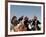 Hunters from Sagsai Sum, Bechik, Tek and Khalbek, Golden Eagle Festival, Mongolia-Amos Nachoum-Framed Photographic Print