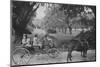 Hunters, Medway Plantation for the Annual Sidney Legendre Hunt, South Carolina, 1938-Alfred Eisenstaedt-Mounted Photographic Print