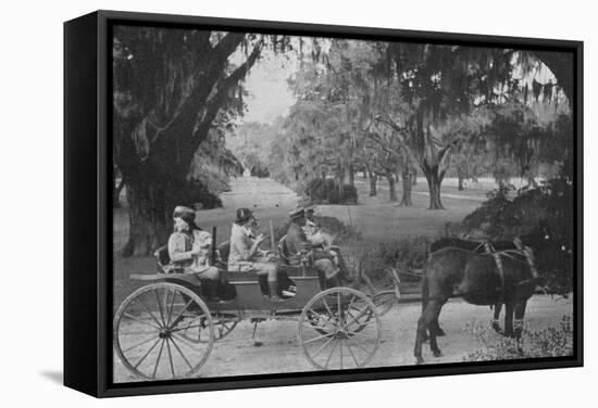 Hunters, Medway Plantation for the Annual Sidney Legendre Hunt, South Carolina, 1938-Alfred Eisenstaedt-Framed Stretched Canvas