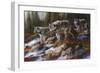 Hunters of Dusk-Trevor V. Swanson-Framed Giclee Print