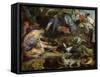 Hunting a Wild Boar, c.1615-16-Peter Paul Rubens-Framed Stretched Canvas