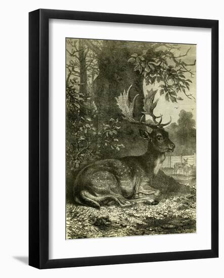 Hunting Austria 1891-null-Framed Giclee Print