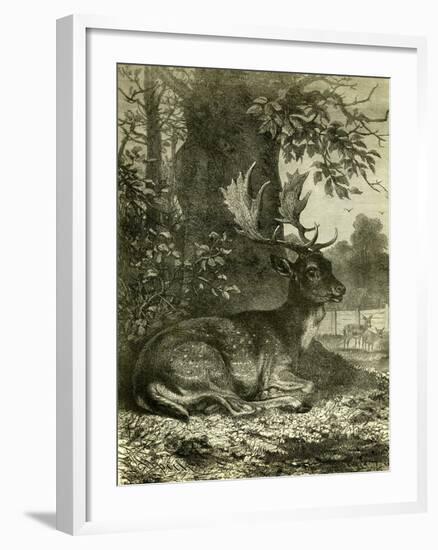 Hunting Austria 1891-null-Framed Giclee Print