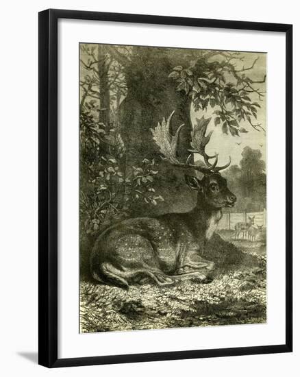 Hunting Austria 1891-null-Framed Giclee Print