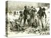 Hunting Austria 1891-null-Stretched Canvas