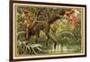 Hunting Birds of Paradise, Malaysia-null-Framed Giclee Print
