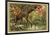 Hunting Birds of Paradise, Malaysia-null-Framed Giclee Print