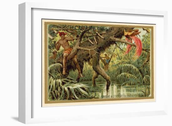 Hunting Birds of Paradise, Malaysia-null-Framed Giclee Print