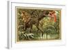 Hunting Birds of Paradise, Malaysia-null-Framed Giclee Print