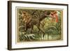 Hunting Birds of Paradise, Malaysia-null-Framed Giclee Print