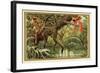 Hunting Birds of Paradise, Malaysia-null-Framed Giclee Print