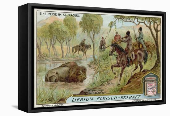 Hunting Bison in a Swamp-null-Framed Stretched Canvas