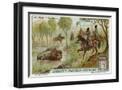 Black Frame