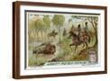 Brown Frame