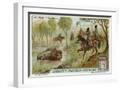 White Frame