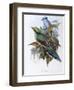 Hunting Cissa-John Gould-Framed Giclee Print