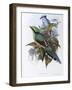 Hunting Cissa-John Gould-Framed Giclee Print