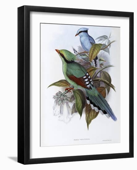 Hunting Cissa-John Gould-Framed Giclee Print