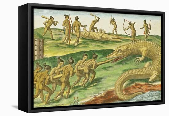 Hunting Crocodiles, from "Brevis Narratio" 1563-Jacques Le Moyne-Framed Stretched Canvas