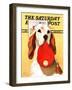 "Hunting Dog and Cap," Saturday Evening Post Cover, October 29, 1938-Jack Murray-Framed Giclee Print