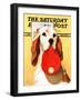 "Hunting Dog and Cap," Saturday Evening Post Cover, October 29, 1938-Jack Murray-Framed Giclee Print