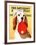 "Hunting Dog and Cap," Saturday Evening Post Cover, October 29, 1938-Jack Murray-Framed Giclee Print