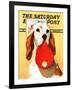 "Hunting Dog and Cap," Saturday Evening Post Cover, October 29, 1938-Jack Murray-Framed Giclee Print